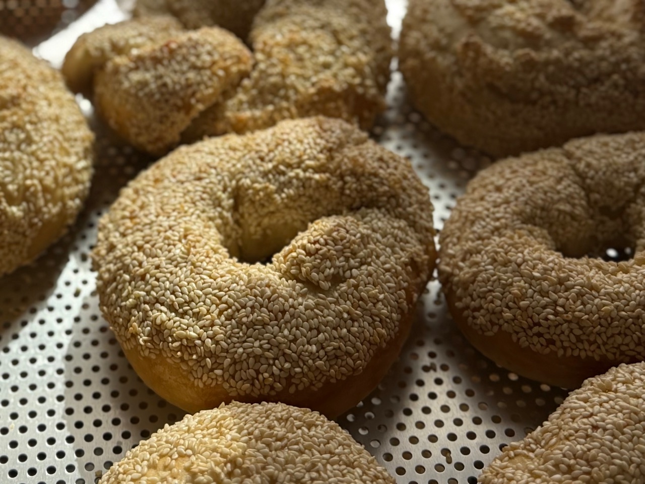 Sesame